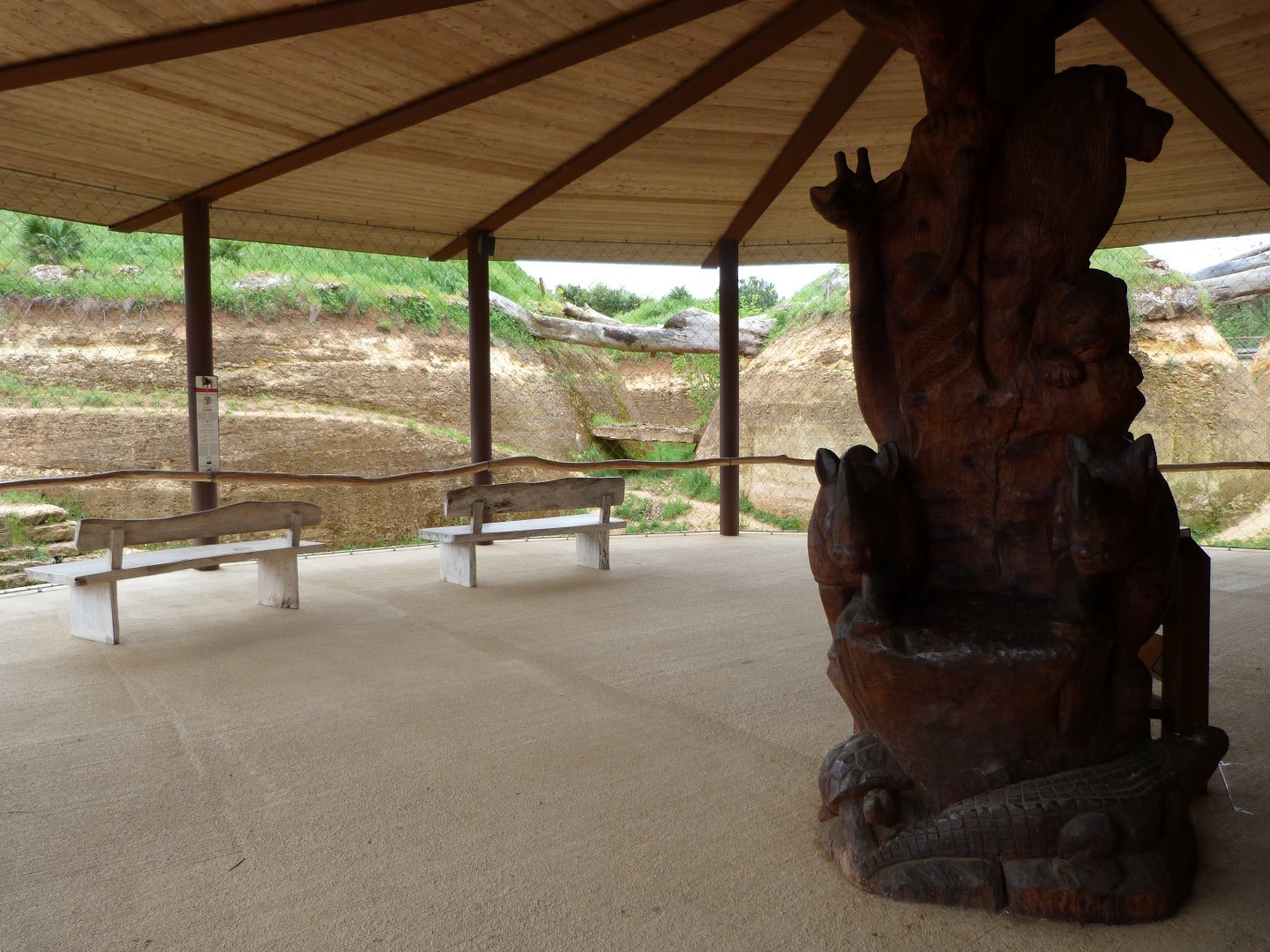Central viewing area of "Le Cratère des carnivores" -Bioparc de Doué la Fontaine (2025)