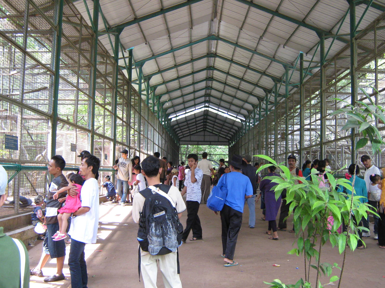 central visitor walk in one of the aviary houses