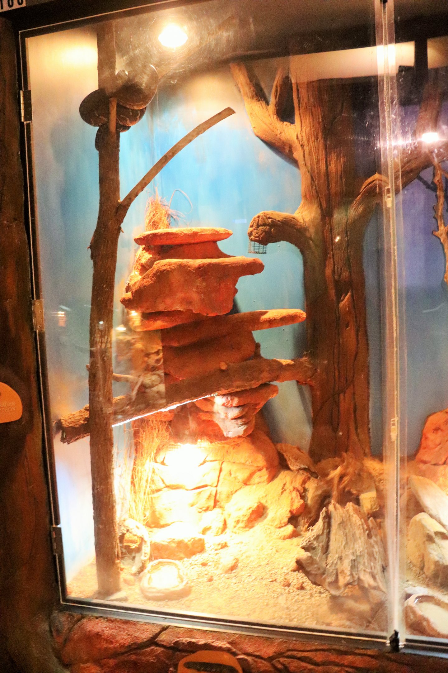 Centralian Python Enclosure