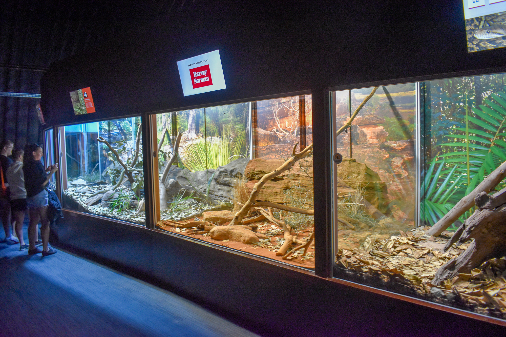 Centralian Python Enclosure