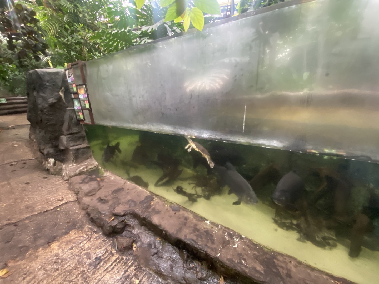 Centre aquatic exhibit 050924