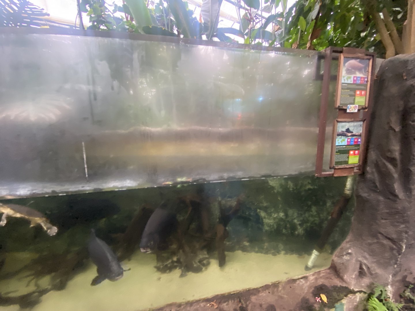 Centre aquatic exhibit 050924