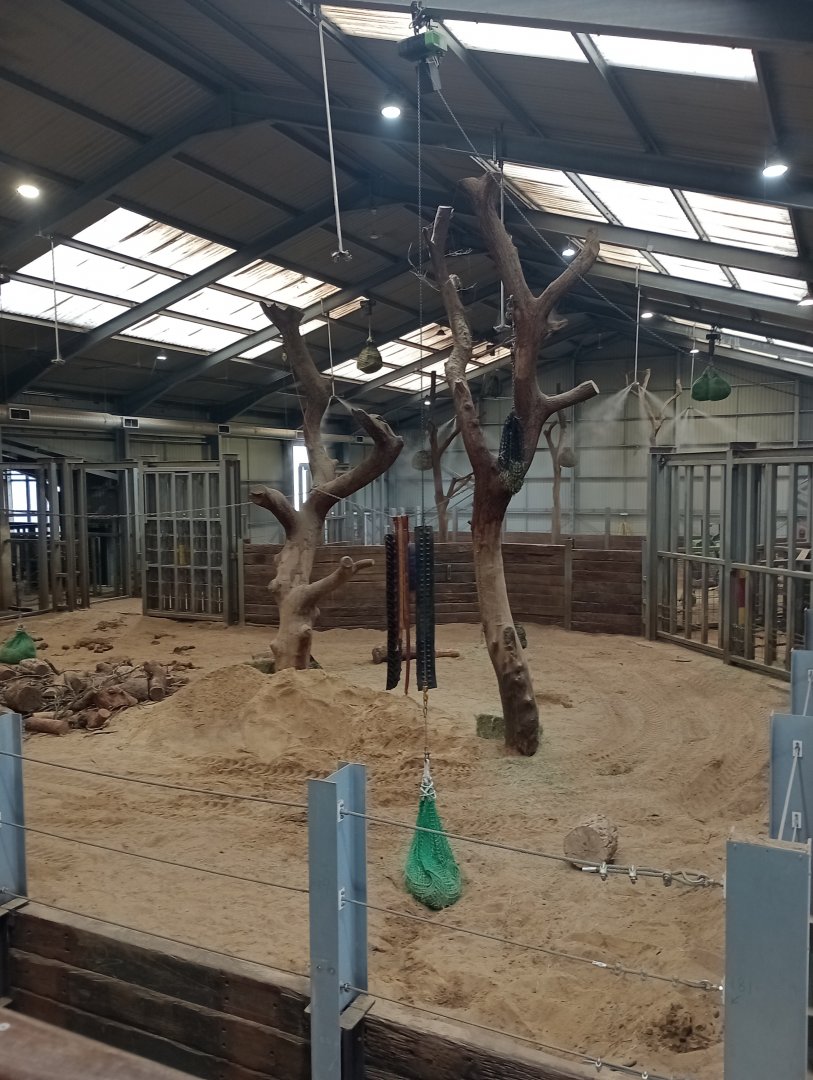 Centre for Elephant Care interior