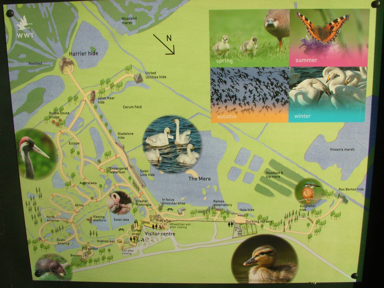 Centre Map at Martin Mere, 28/01/11