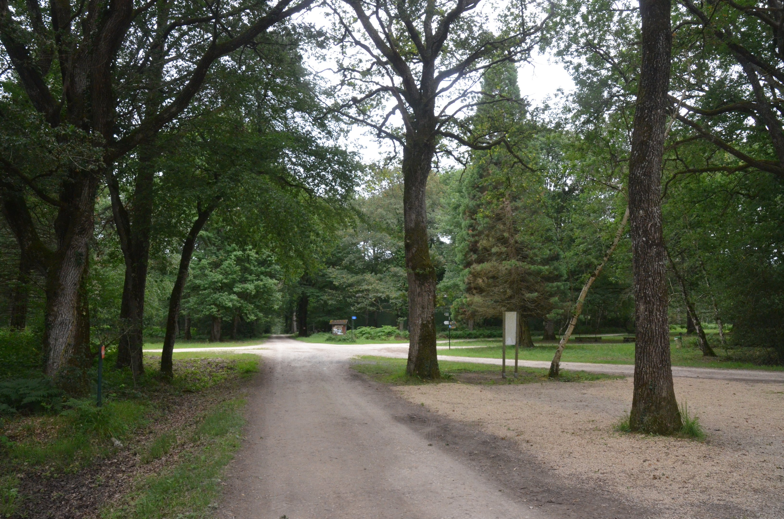 Centre of the Rotunda at Haute-Touche, 14/06/18