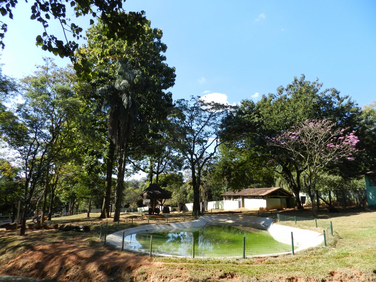 Cerrado Biome exhibit - Belo Horizonte zoo