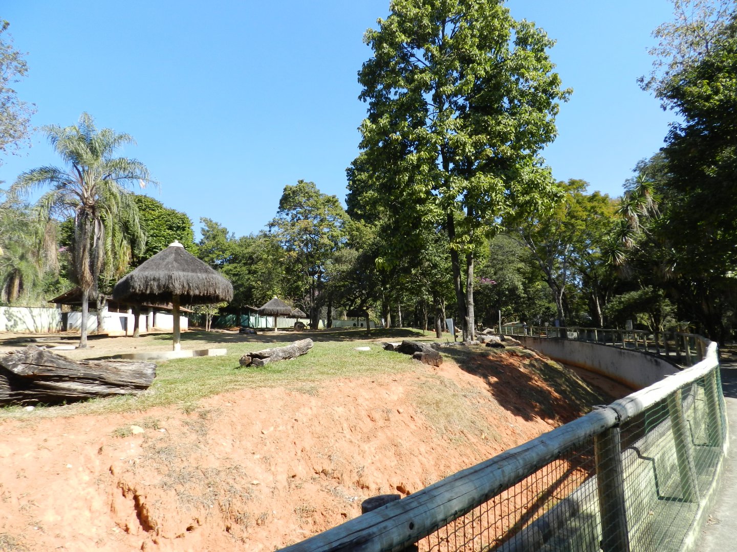 Cerrado Biome exhibit - Belo Horizonte zoo