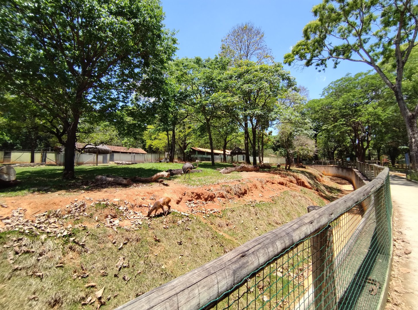 Cerrado biome exhibit  - Belo Horizonte zoo