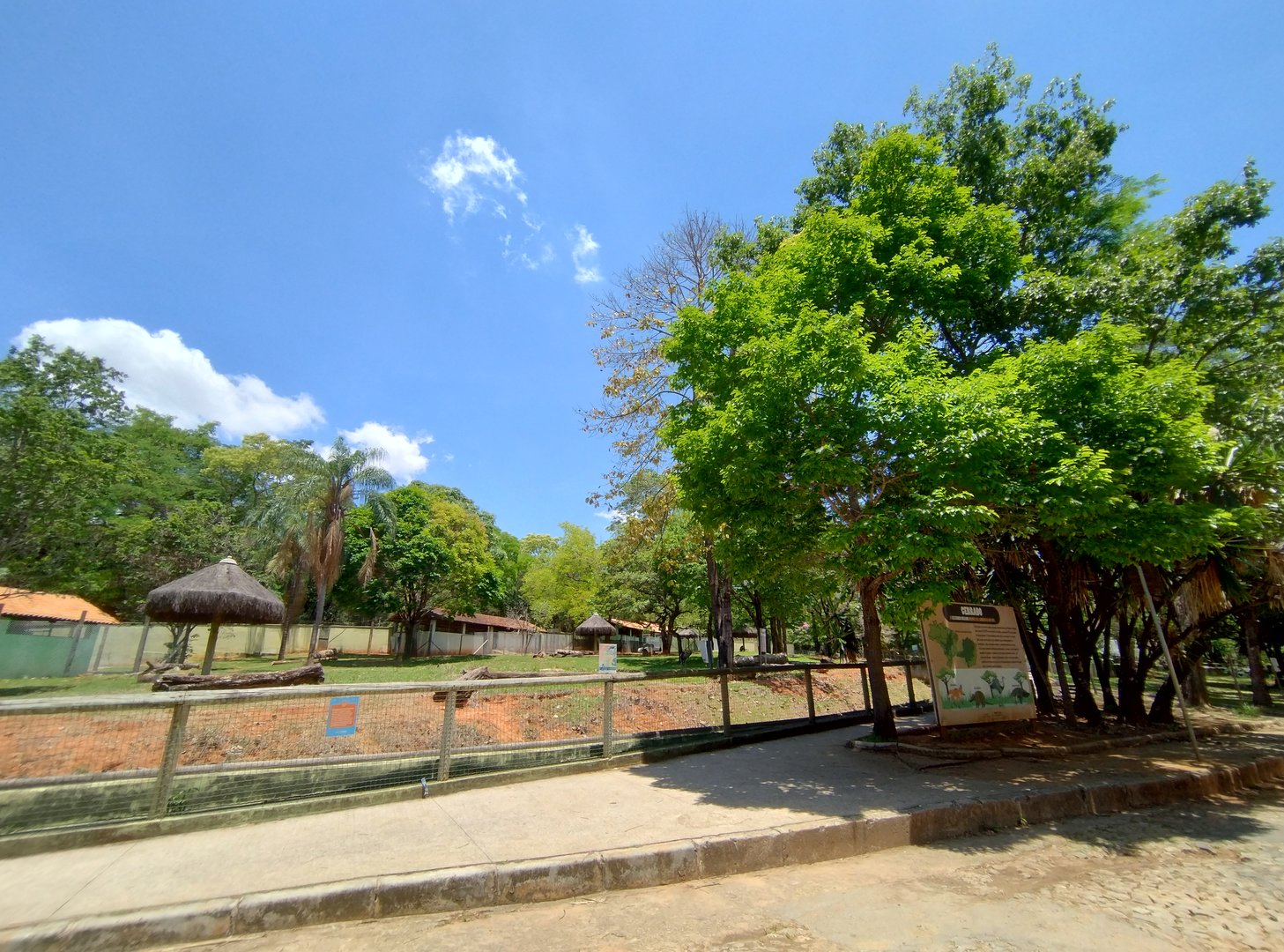 Cerrado biome exhibit  - Belo Horizonte zoo