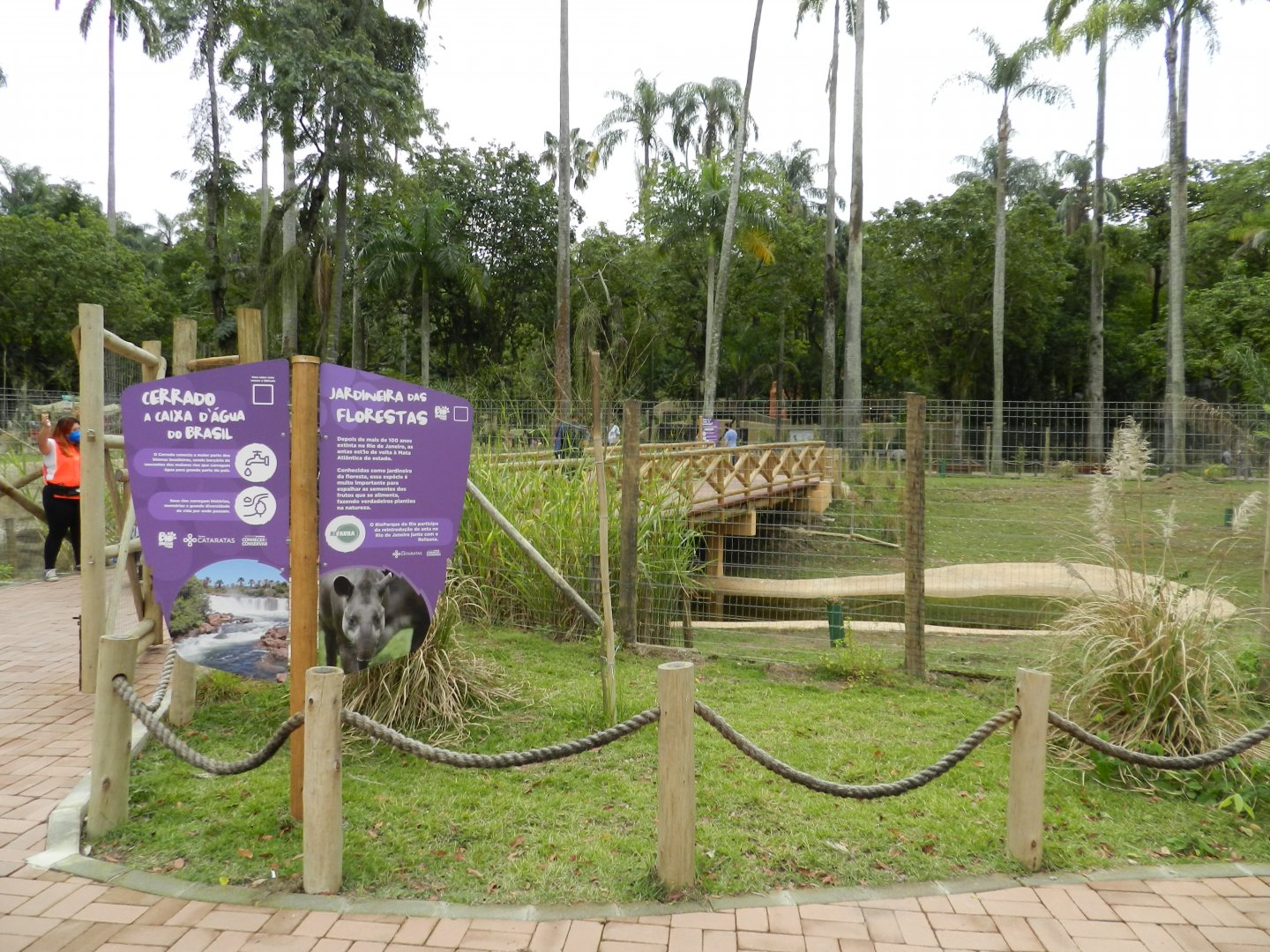 Cerrado biome exhibit - BioParque do Rio