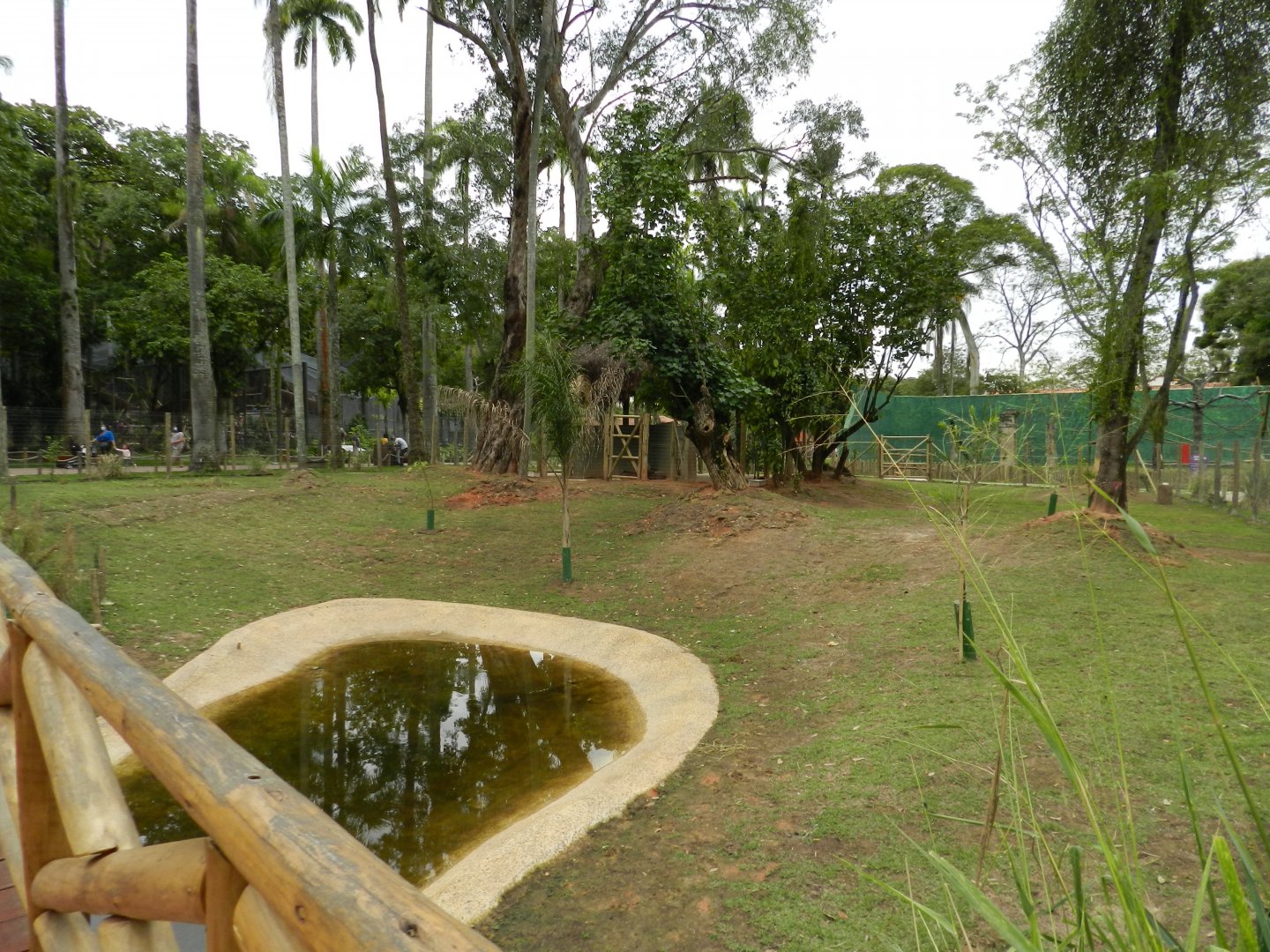 Cerrado biome exhibit - BioParque do Rio
