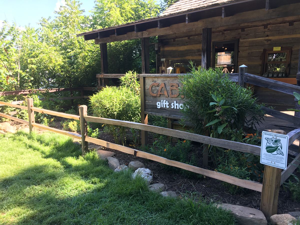 Certified Monarch Way Station Garden