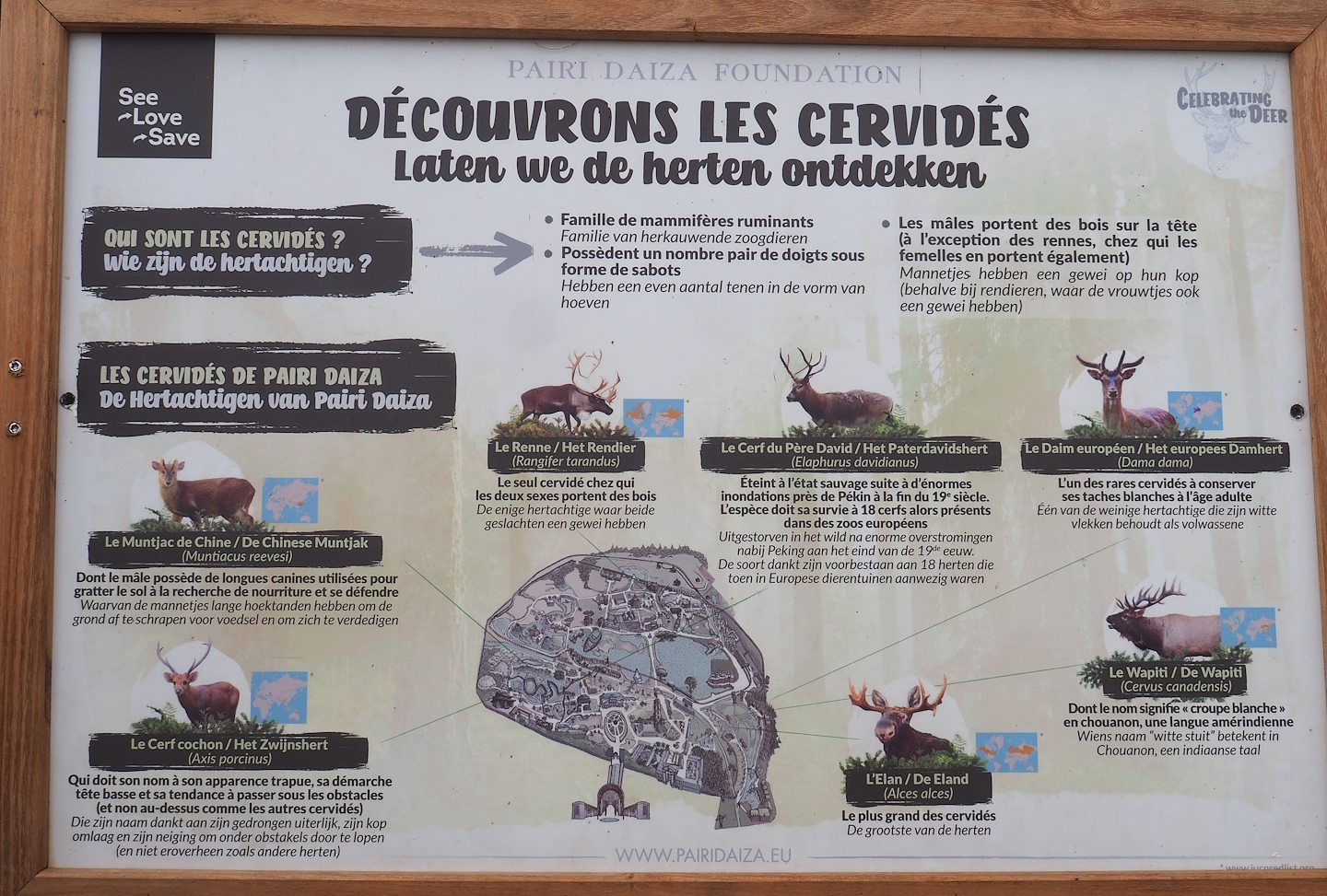 Cervids at Pairi Daiza signage, 2023-10-13