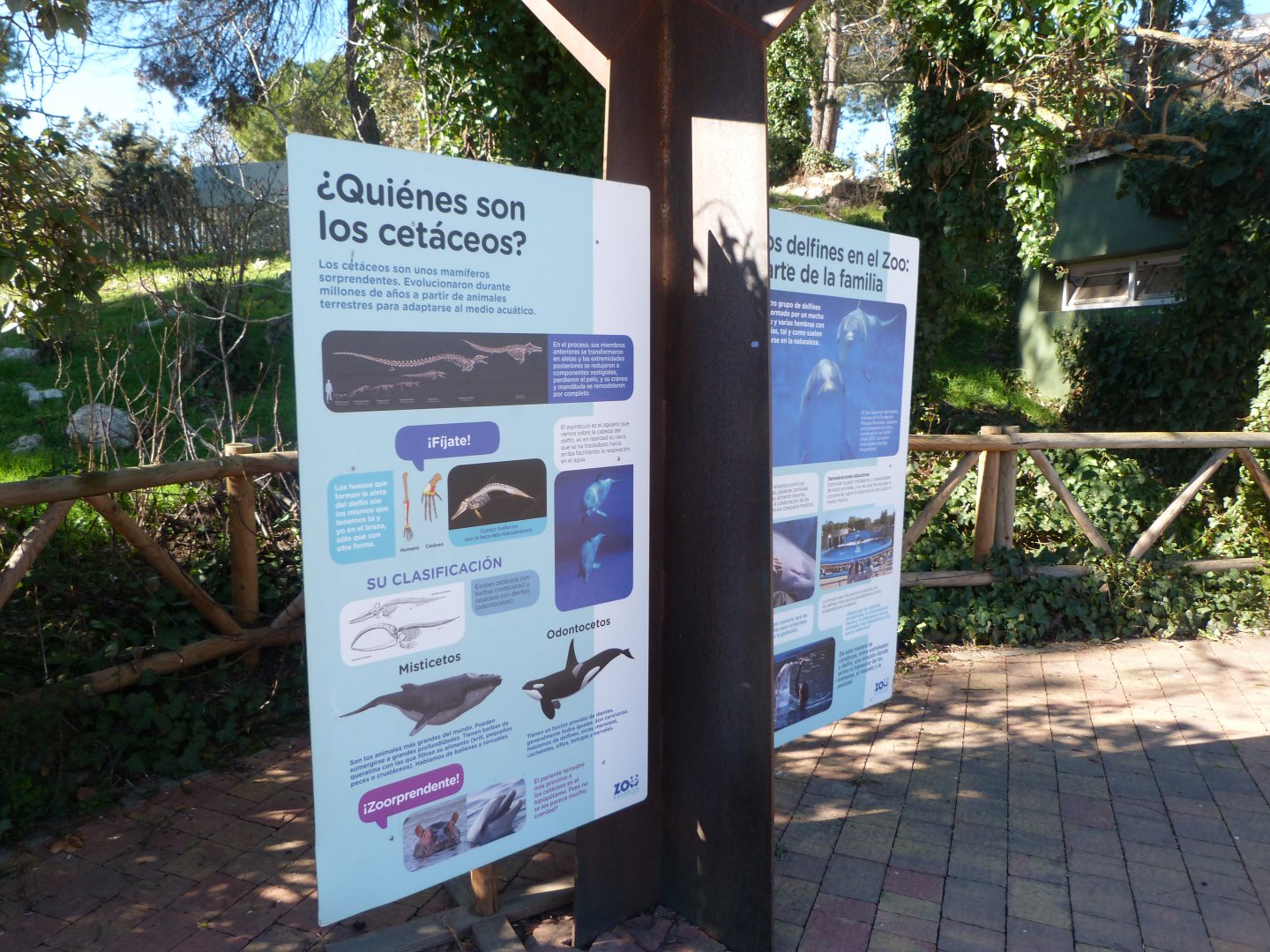 Cetacean educative signs -Zoo Aquarium de Madrid (2025)