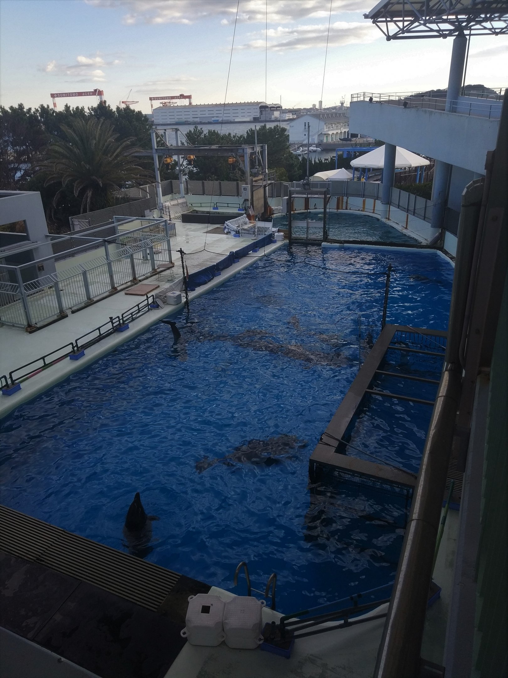 Cetecean Holding Pools