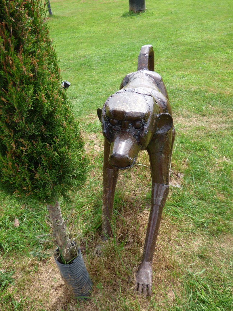 Chacma Baboon at British Iron Works Centre