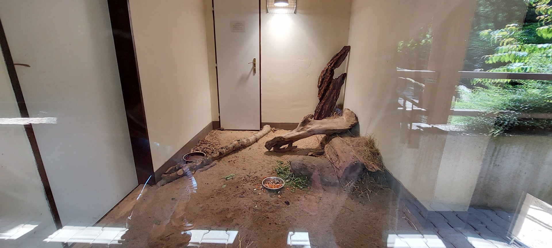 Chaco mara indoor exhibit
