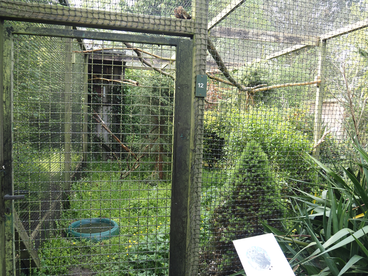 Chaco owl aviary, 2024-05-11