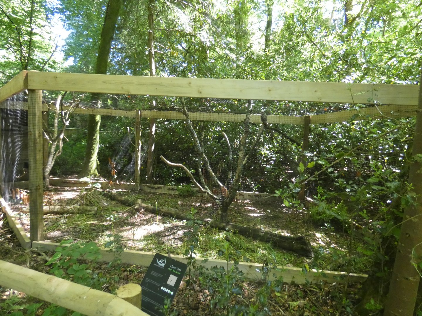 Chaco Owl aviary