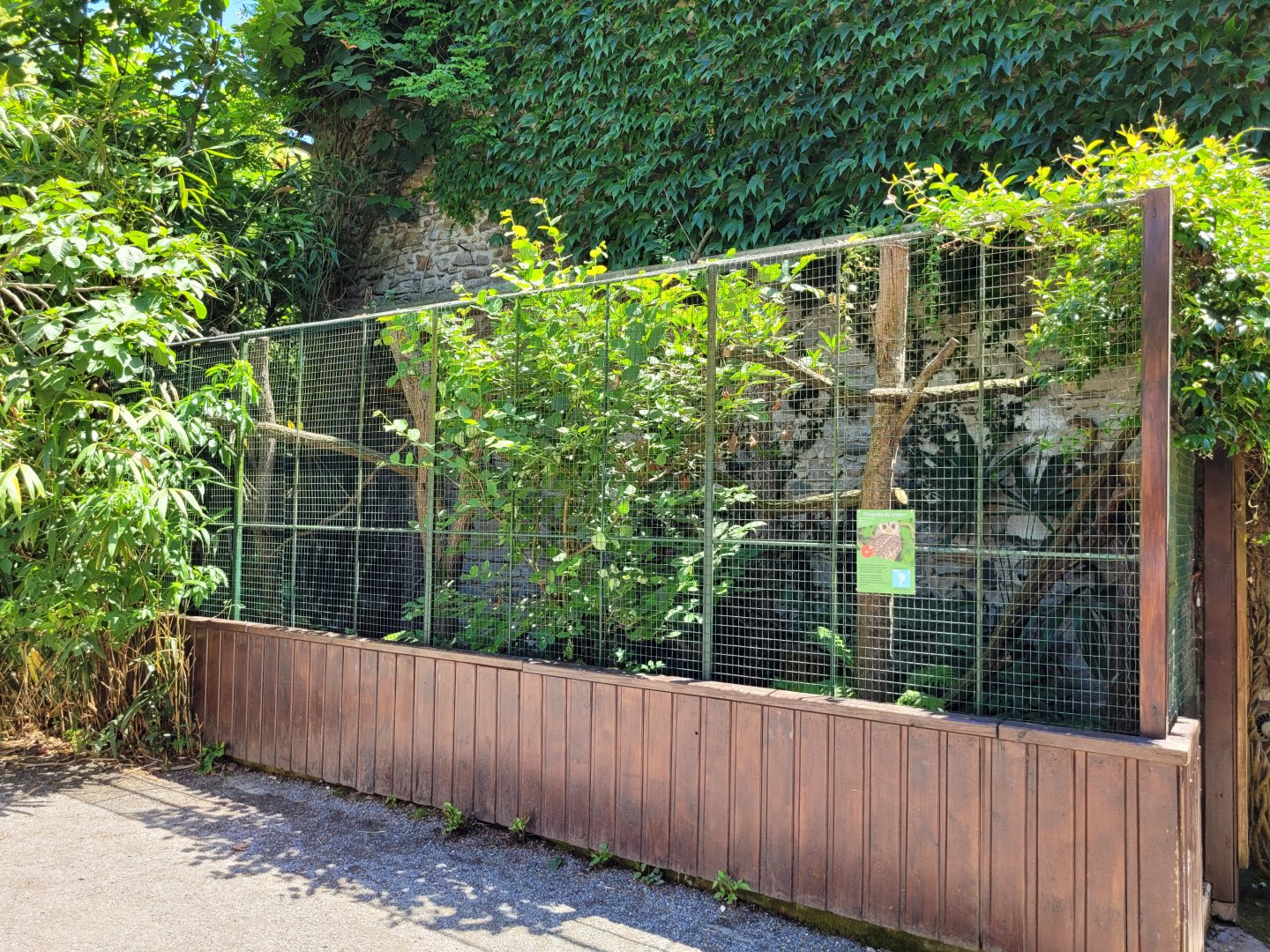 Chaco owl exhibit -Zoo d'Asson (2022)
