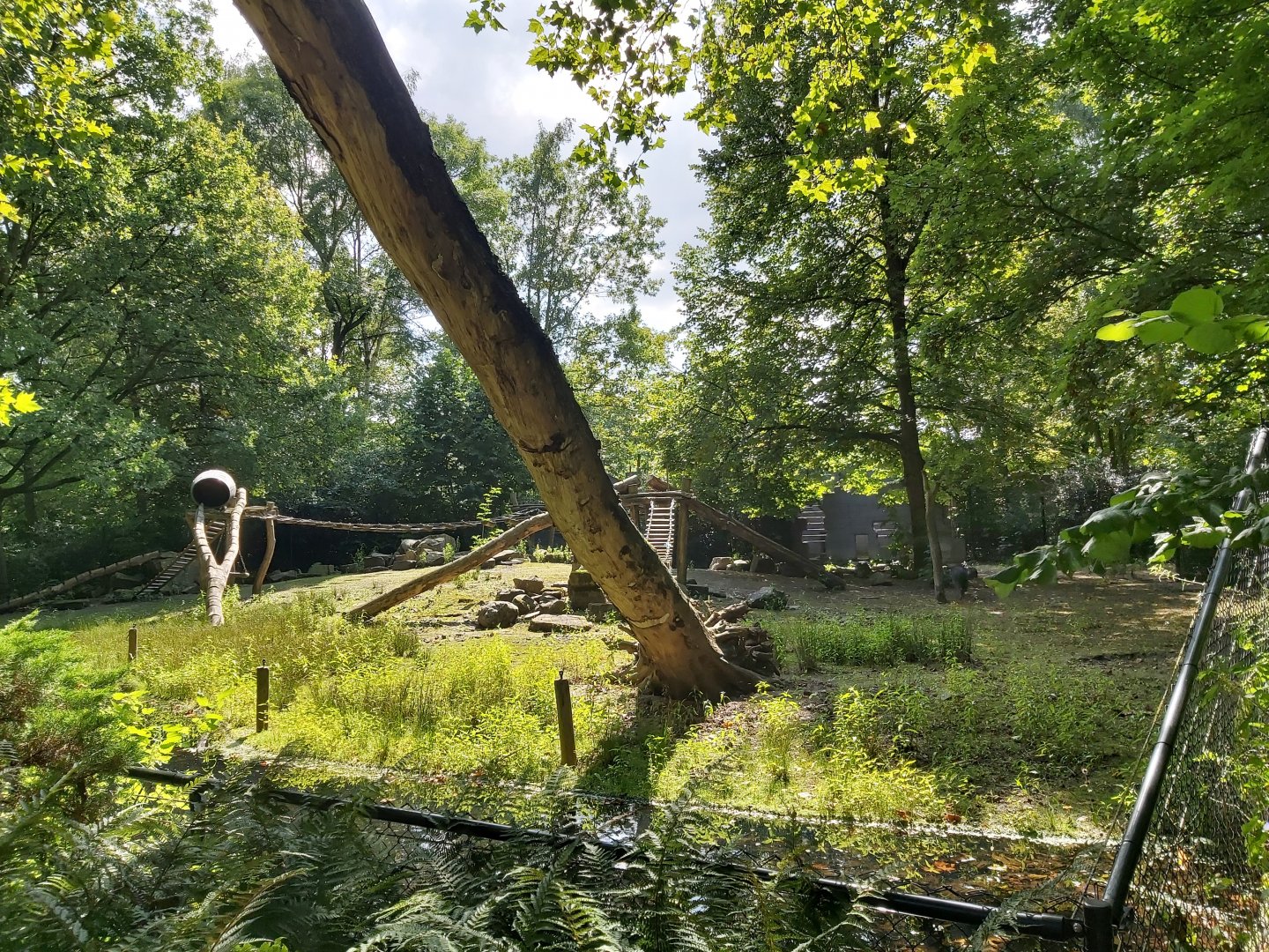 Chaco pecarry enclosure