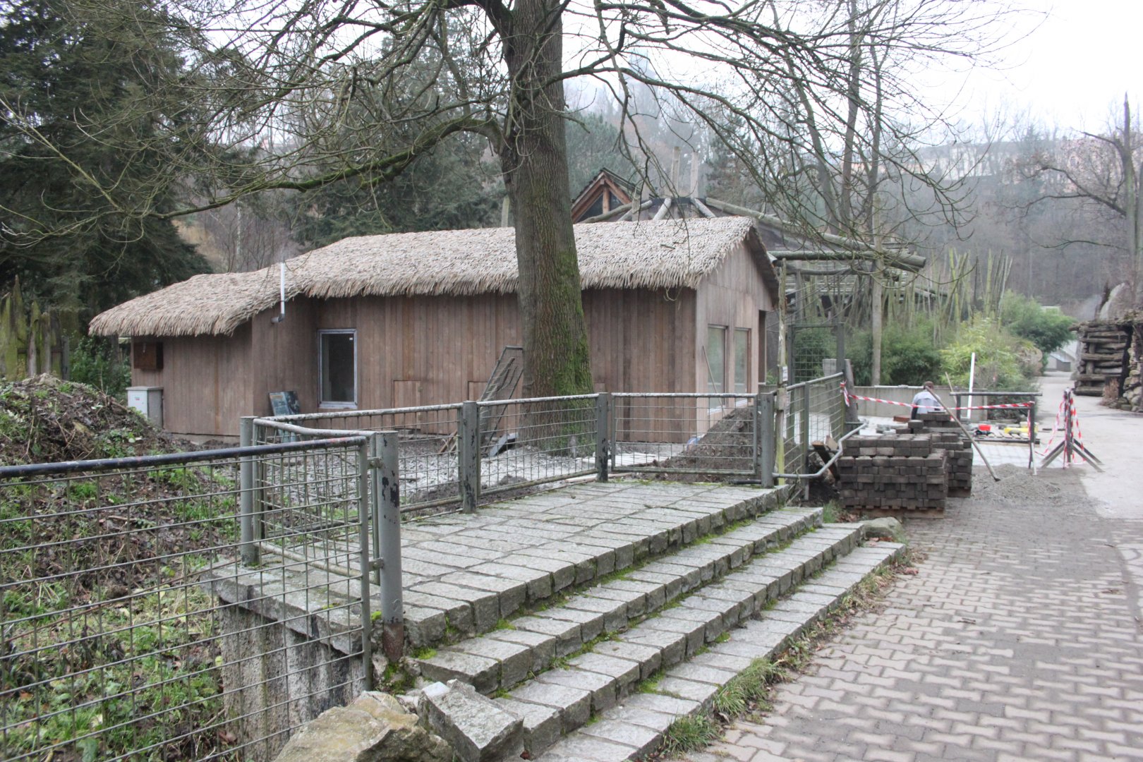 Chaco peccary house construction - view from marmoset house