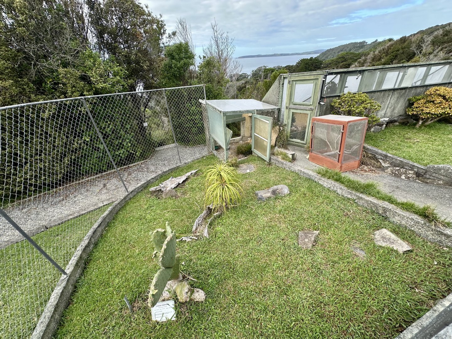 Chaco Tortoise Exhibit