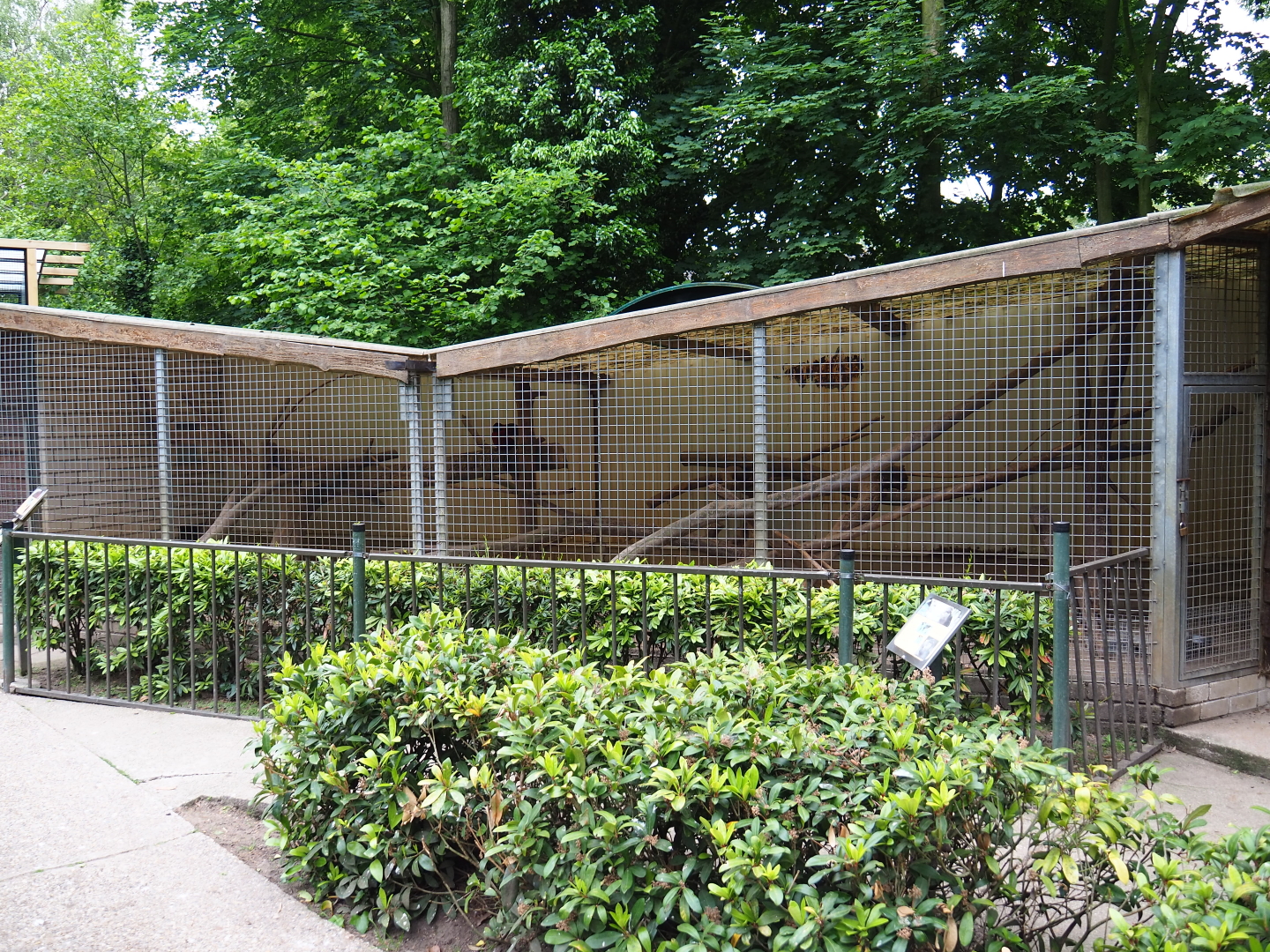 Chacoan mara and Satyr tragopan aviary, 2019-05-25