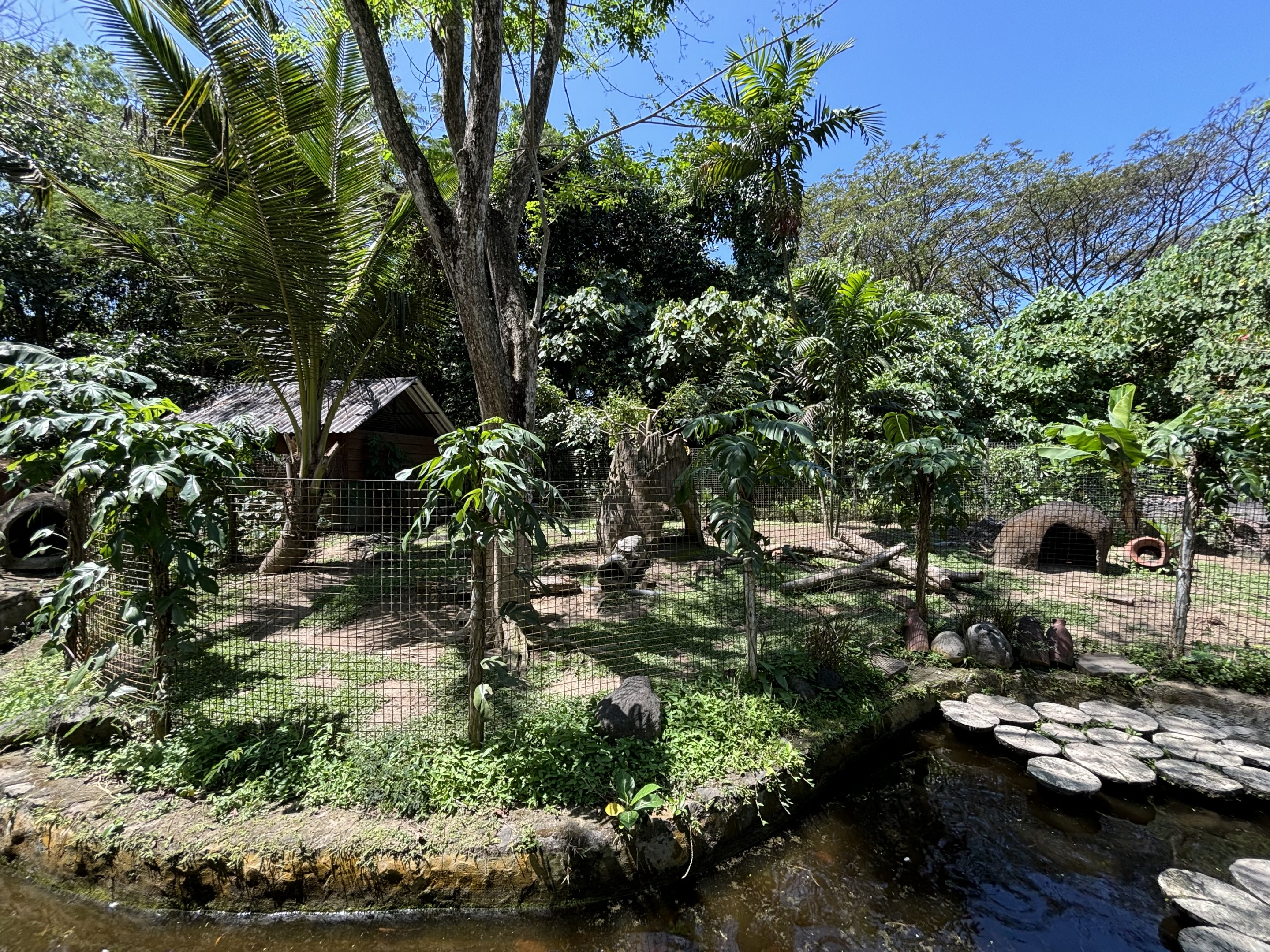 Chacoan Mara + Dusky Pademelon Exhibit