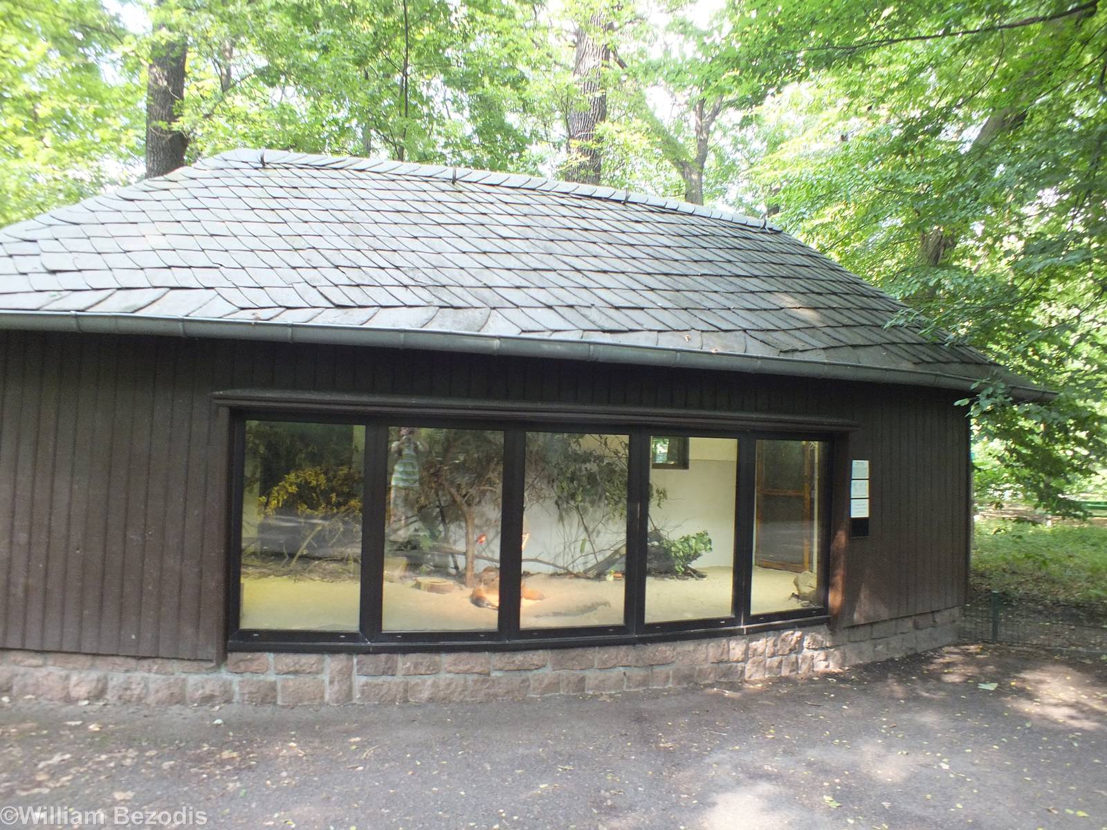 Chacoan Mara Enclosure
