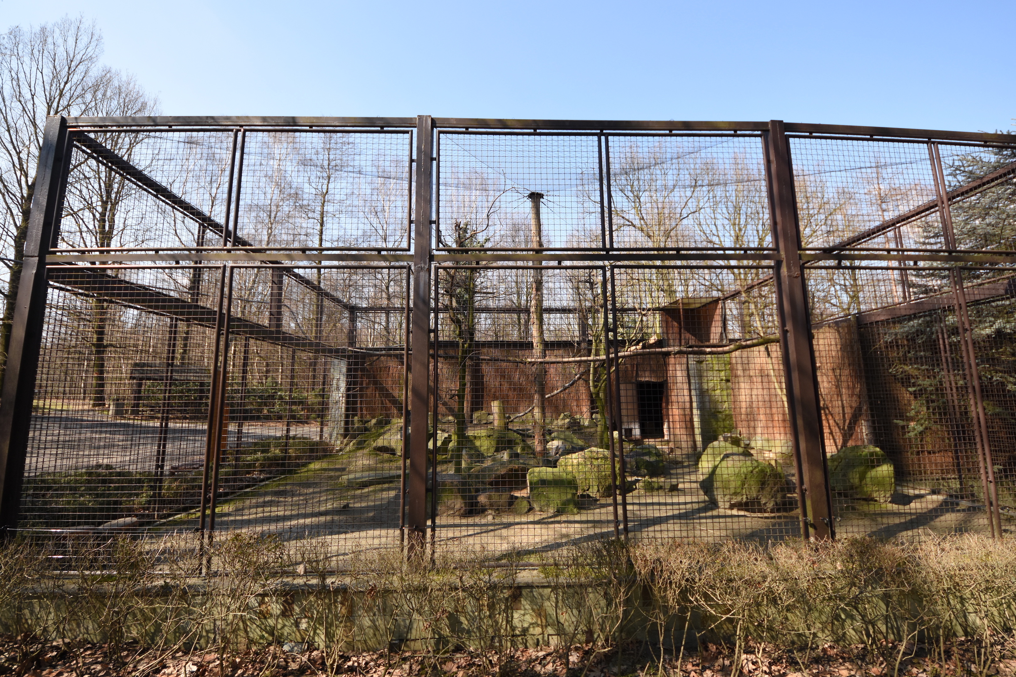 Chacoan mara enclosure