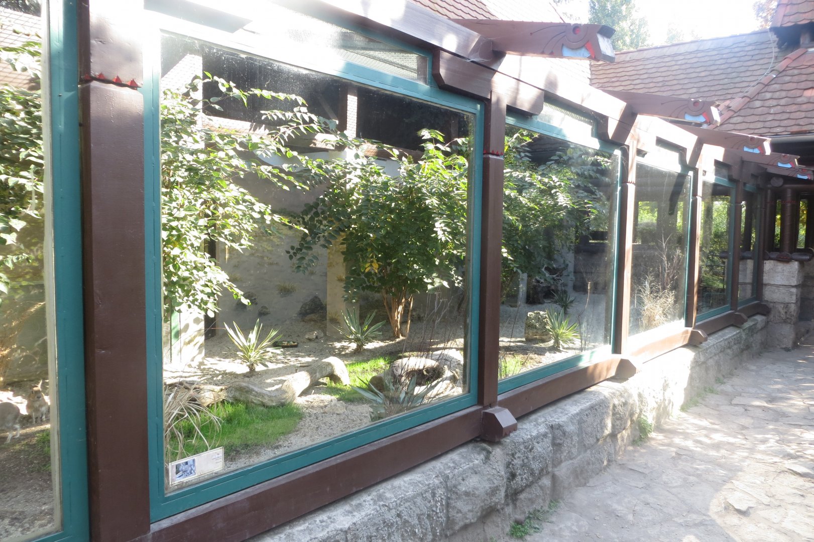 Chacoan mara exhibit 171018