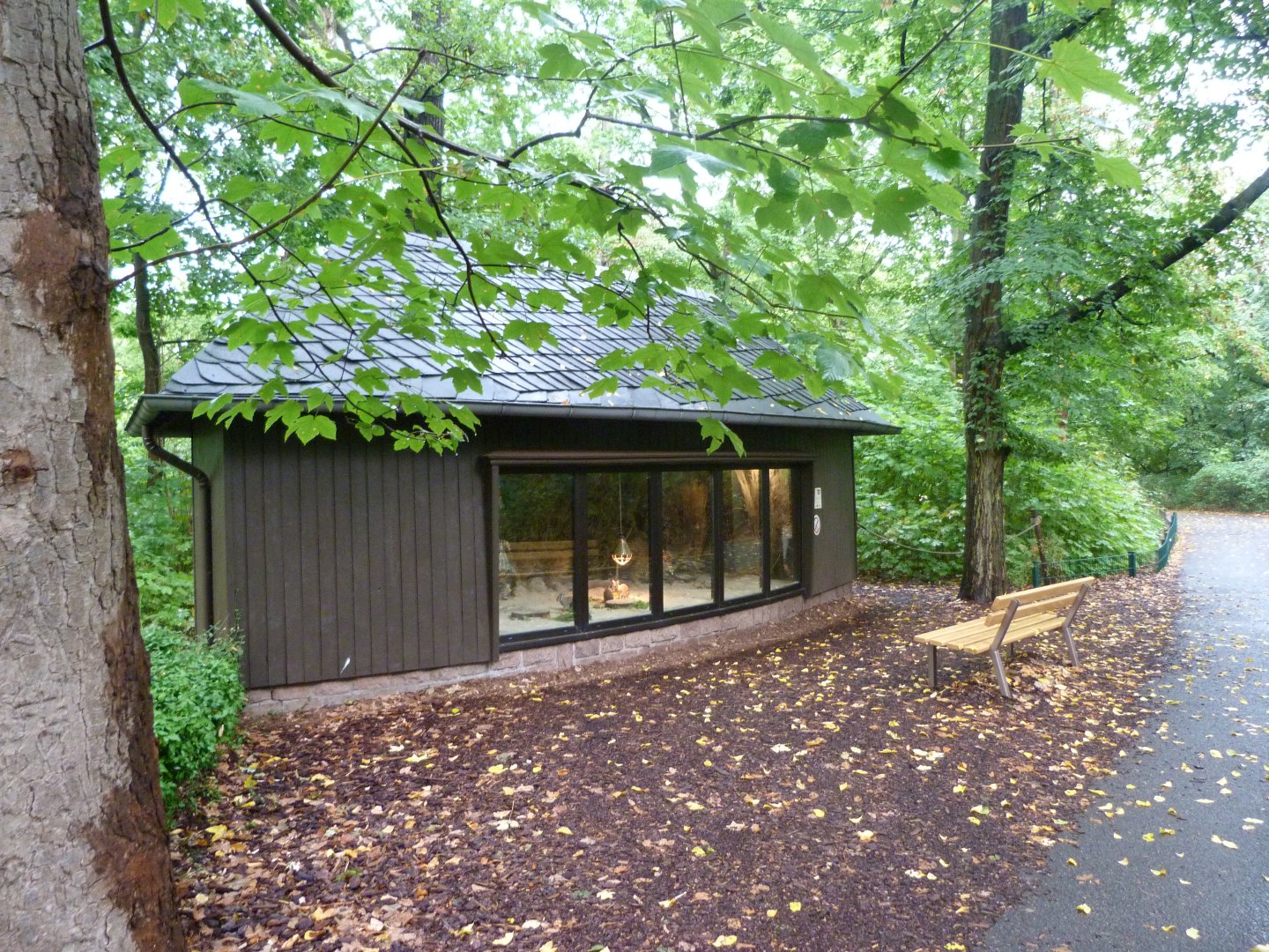 Chacoan mara exhibit -Tierpark Berlin (2024)