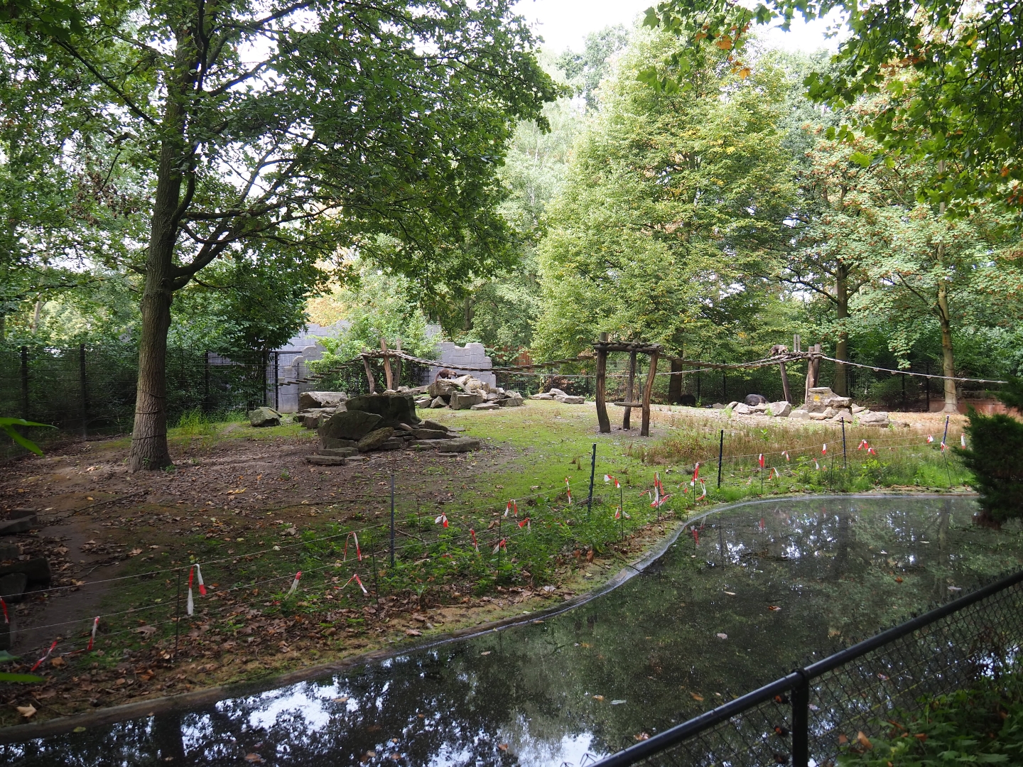 Chacoan peccary/Coati exhibit