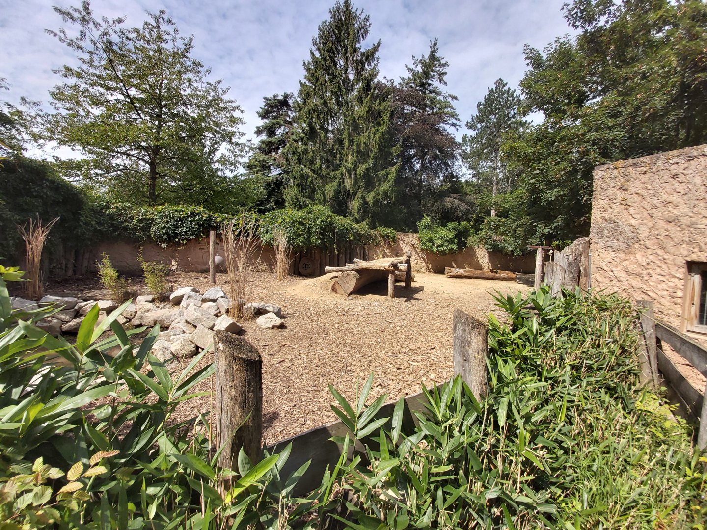 Chacoan peccary enclosure (in the children farm)