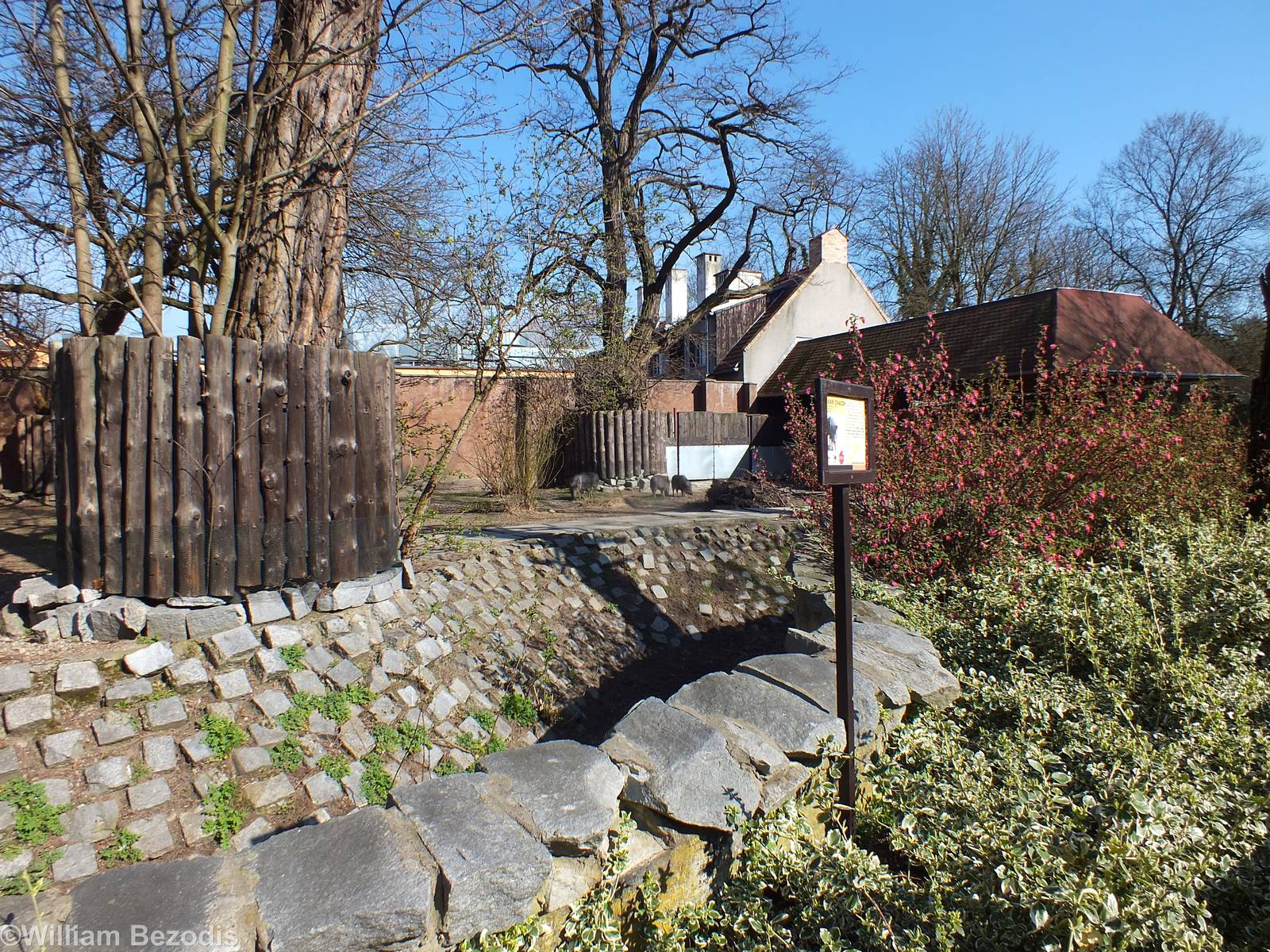 Chacoan Peccary Enclosure