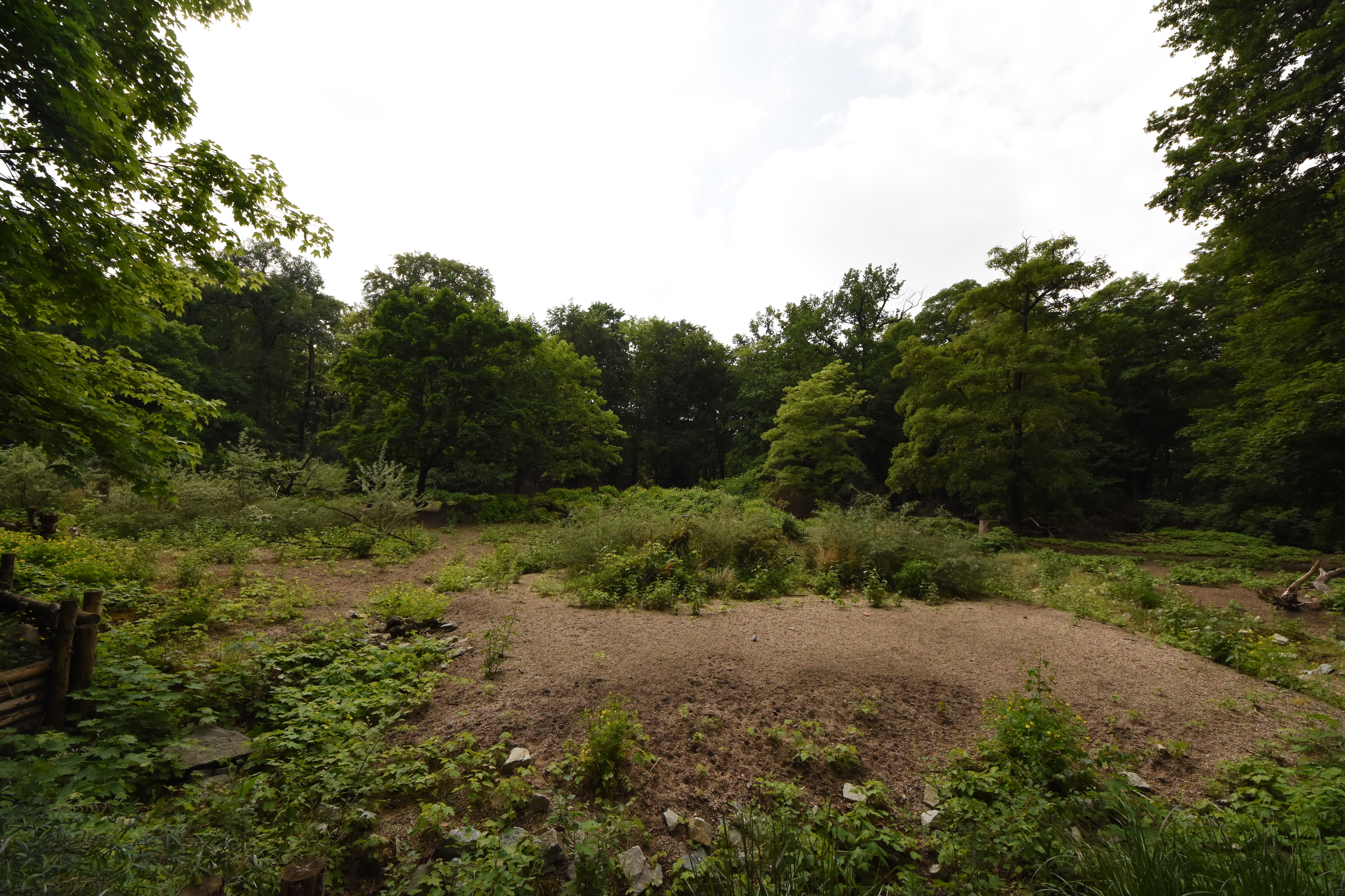 Chacoan peccary enclosure