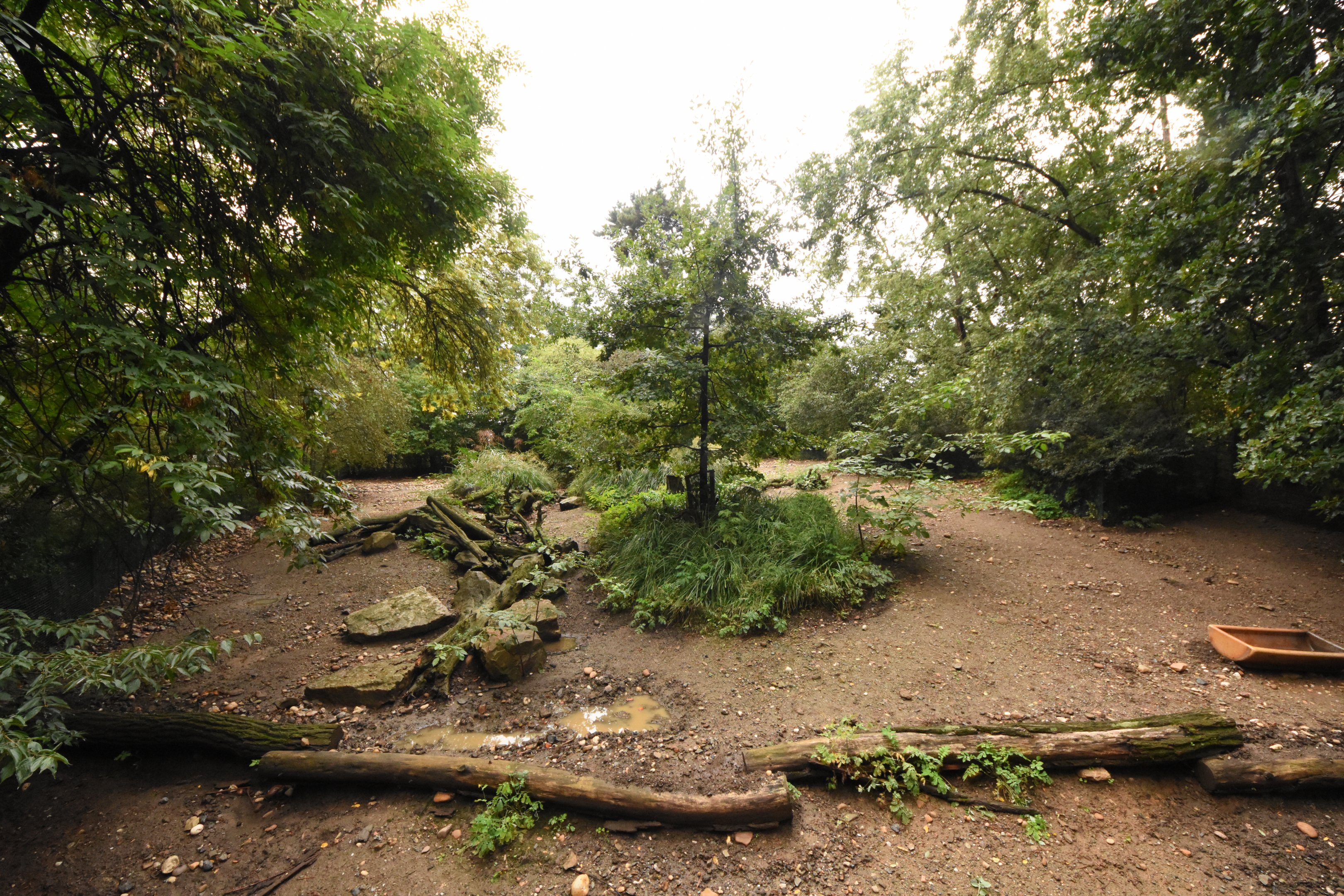 Chacoan peccary enclosure
