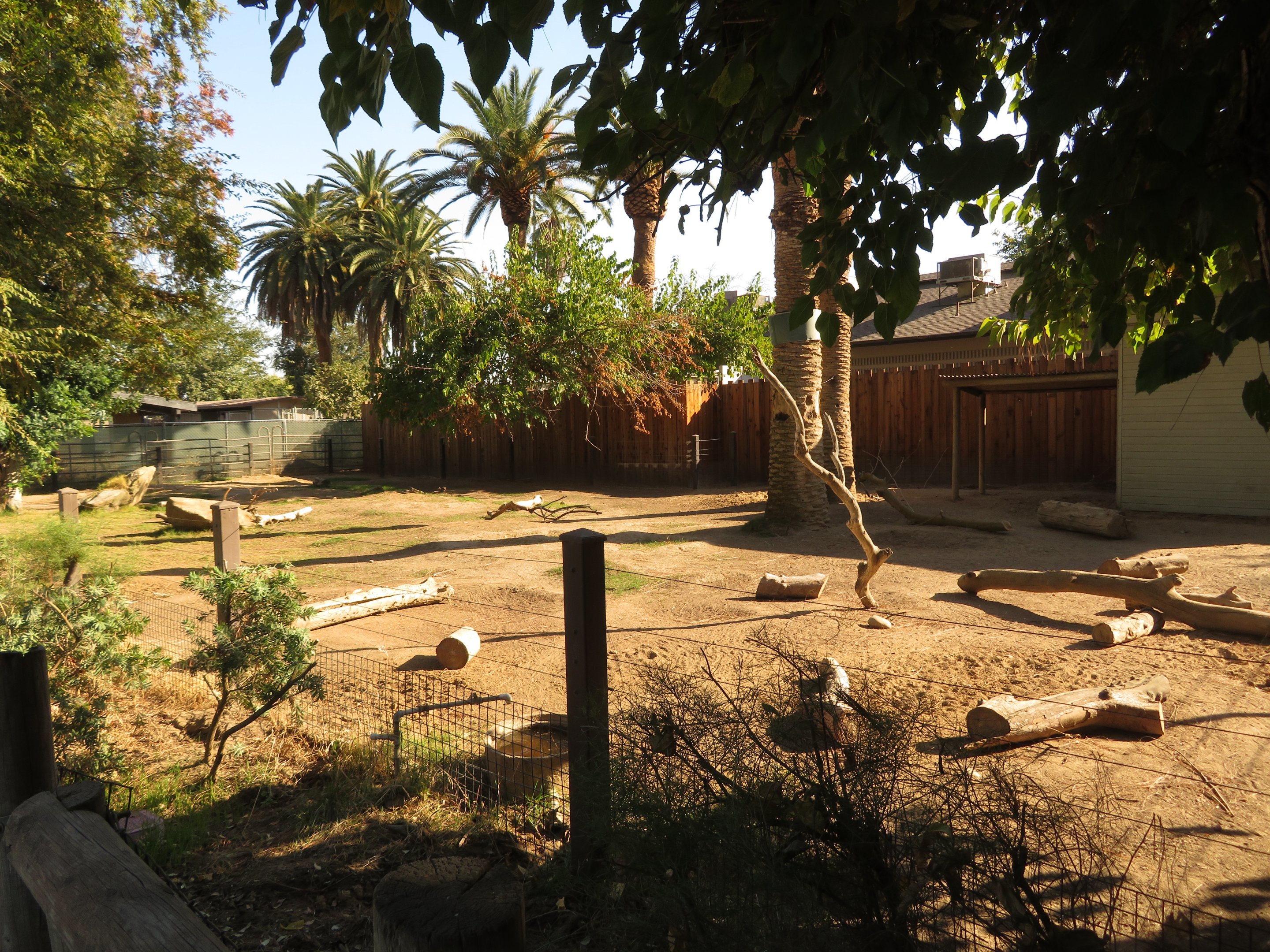 Chacoan Peccary Exhibit (1 of 2)