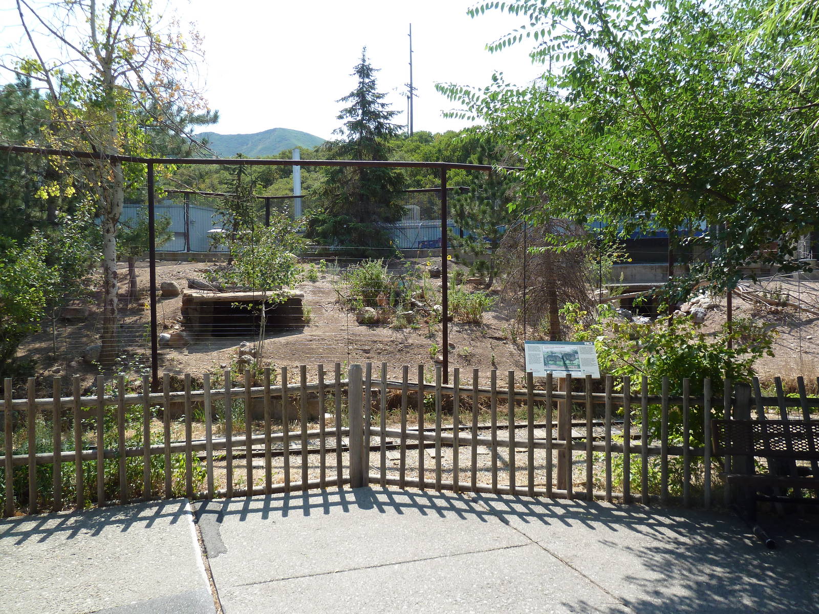 Chacoan Peccary Exhibit