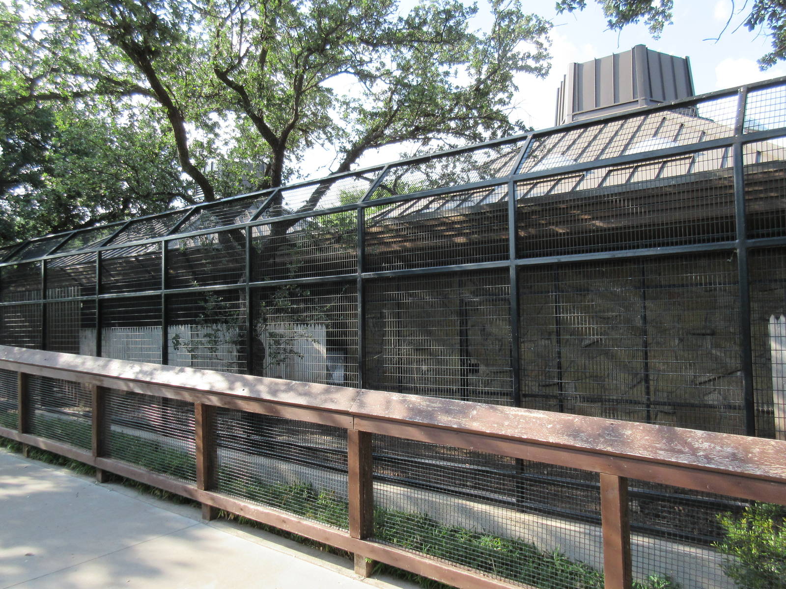 Chacoan Peccary Exhibit