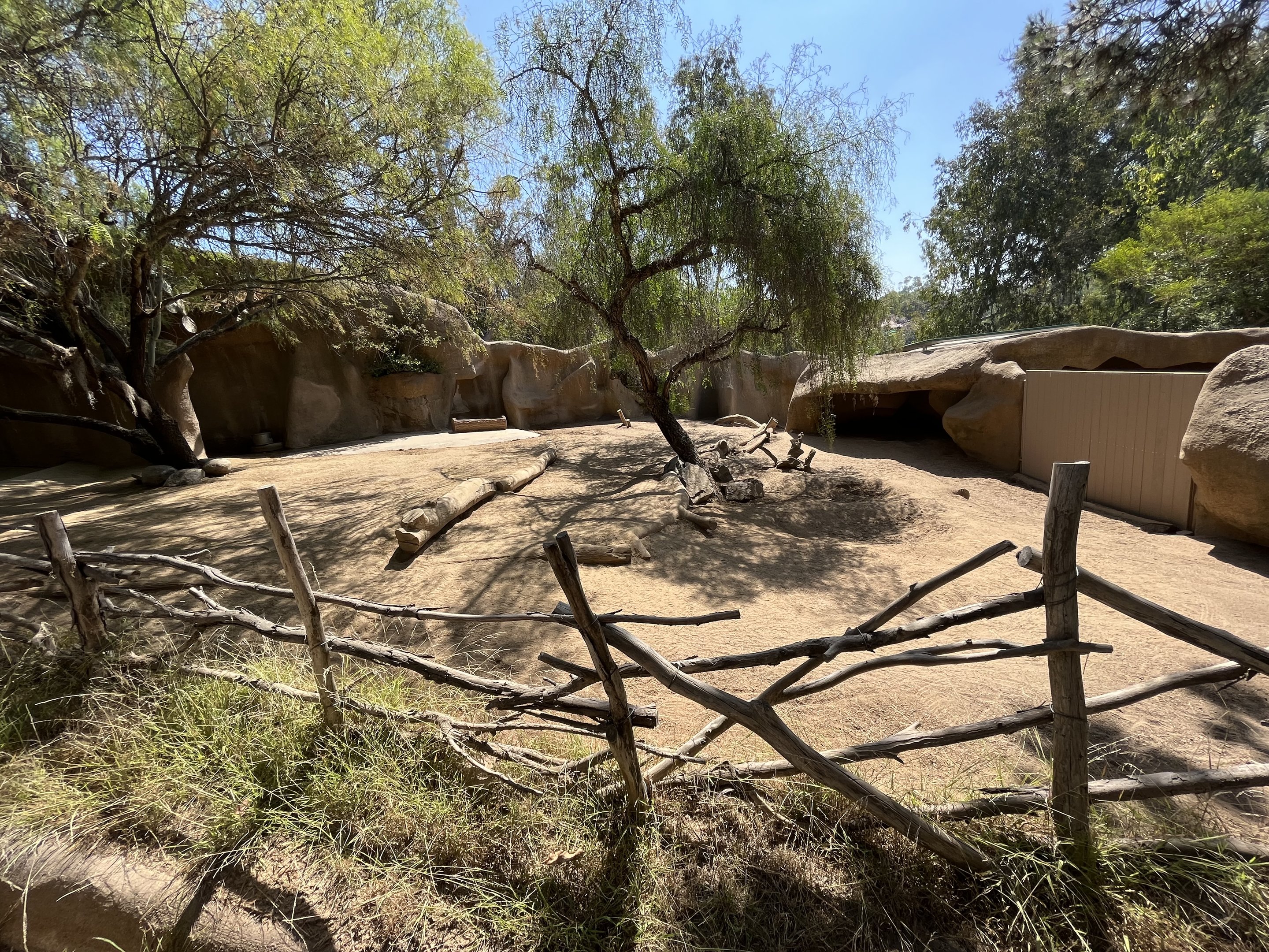 Chacoan Peccary Exhibit