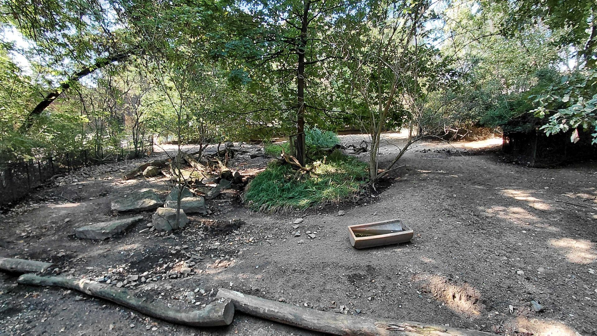 Chacoan peccary exhibit