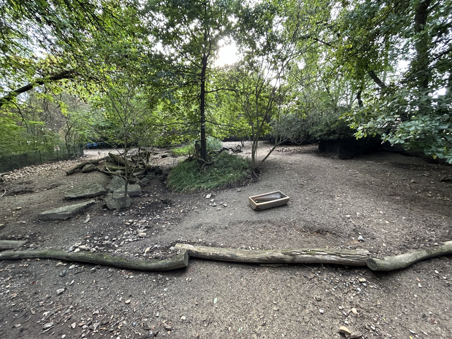 Chacoan Peccary Exhibit