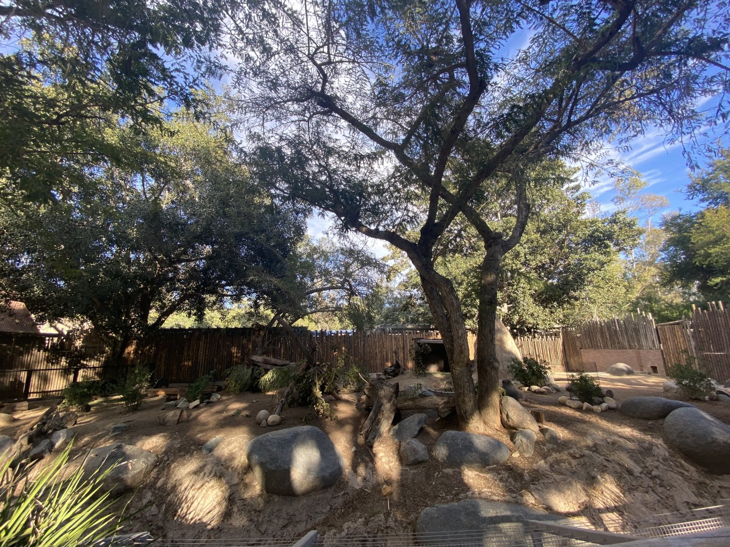 Chacoan Peccary Habitat