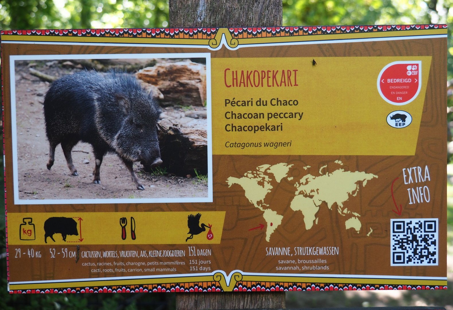 Chacoan peccary signage, 2020-07-21