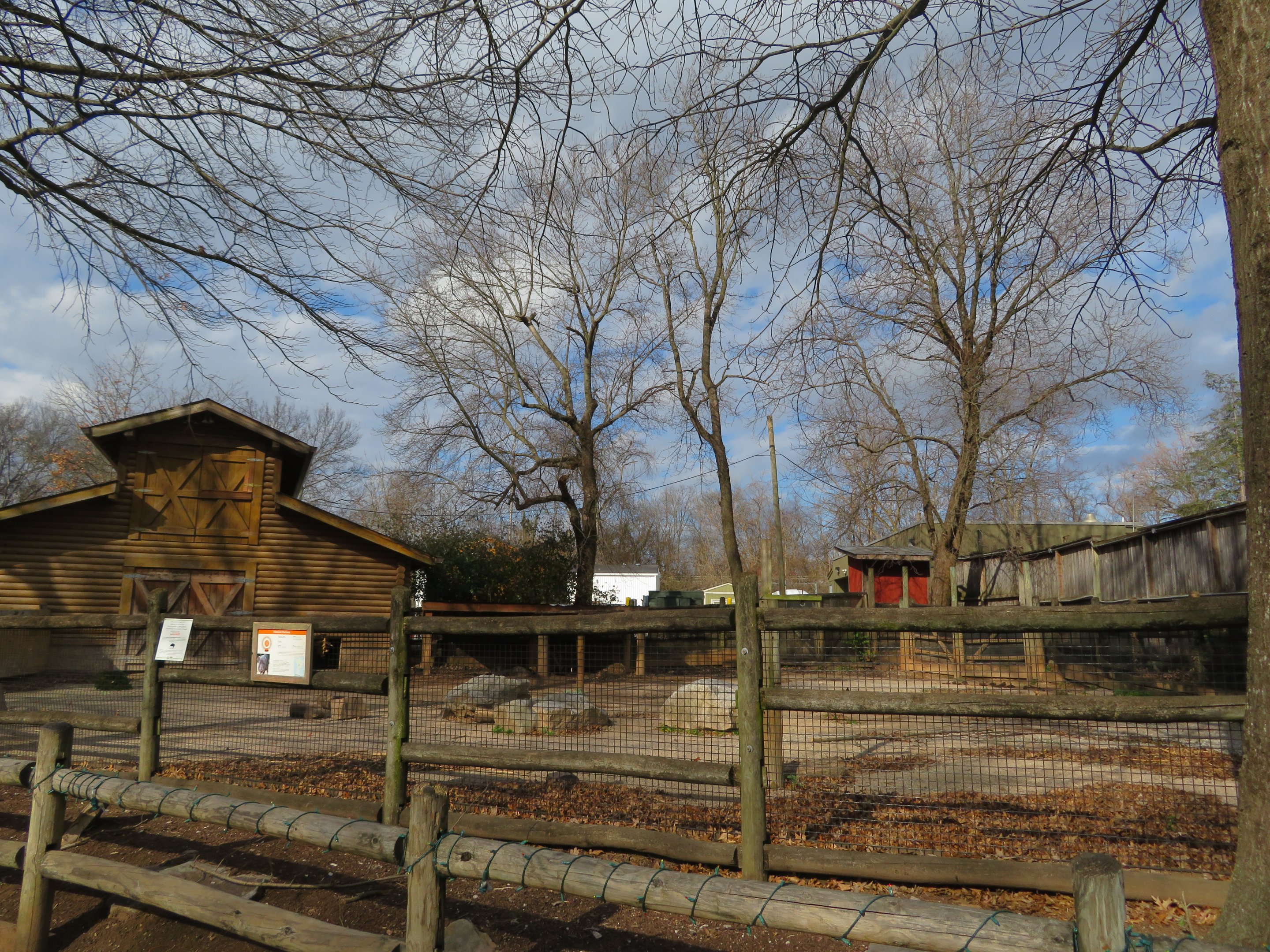 Chacoan Peccary Yard