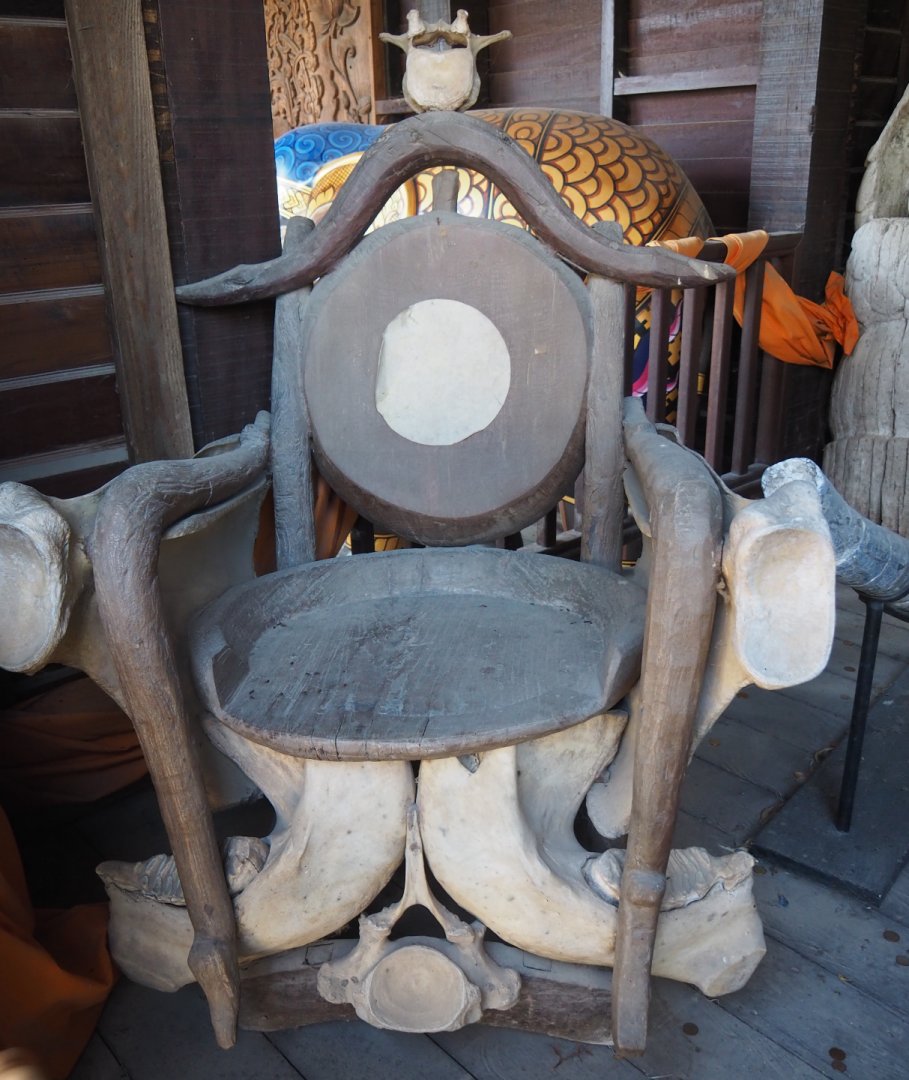 Chair with elephant bones, 2020-09-02