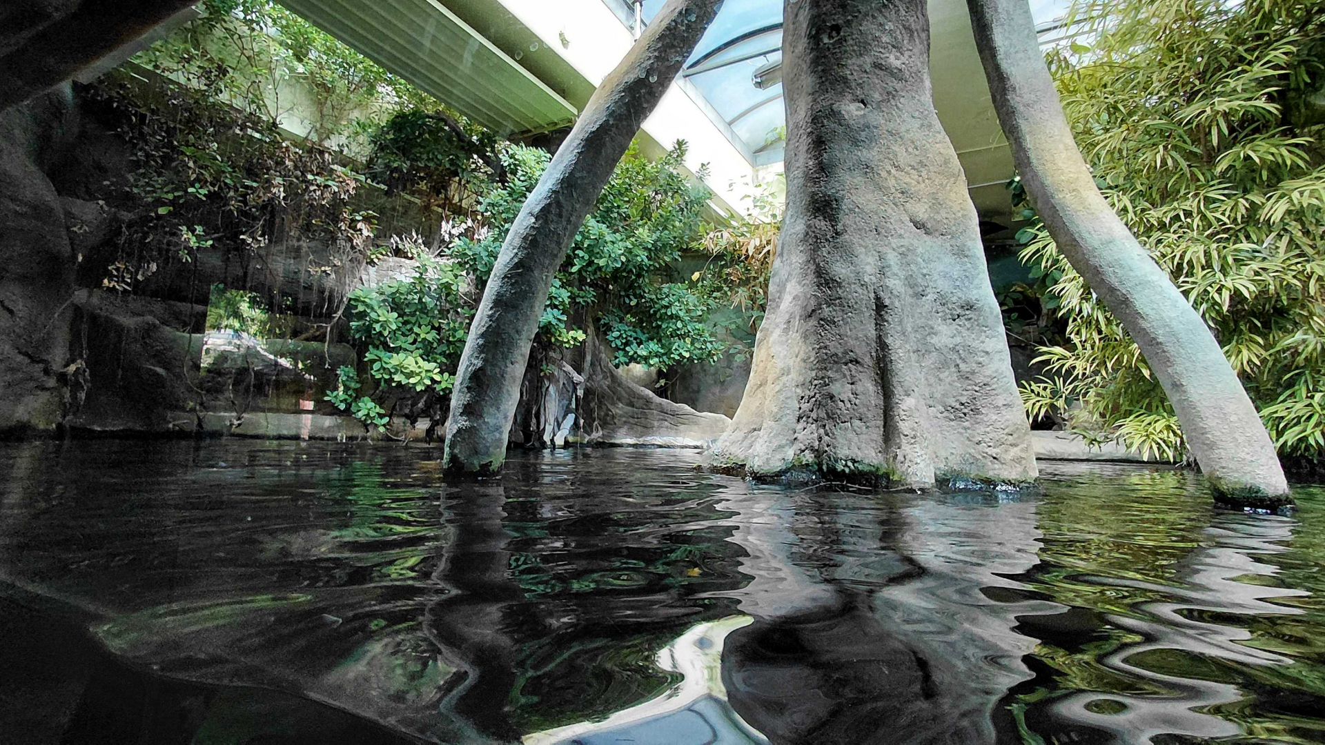 Chambal - Gharial exhibit