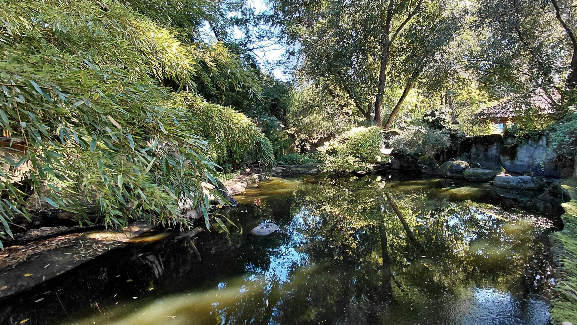 Chambal - Pond turtle exhibit